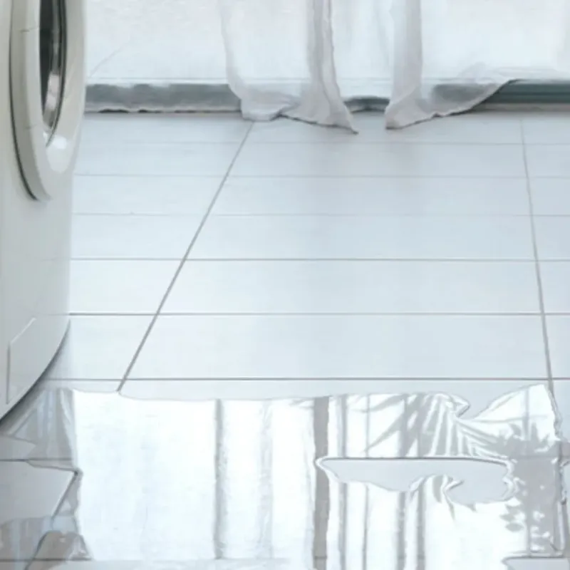 Appliance Leak Cleanup in Lumberton, TX