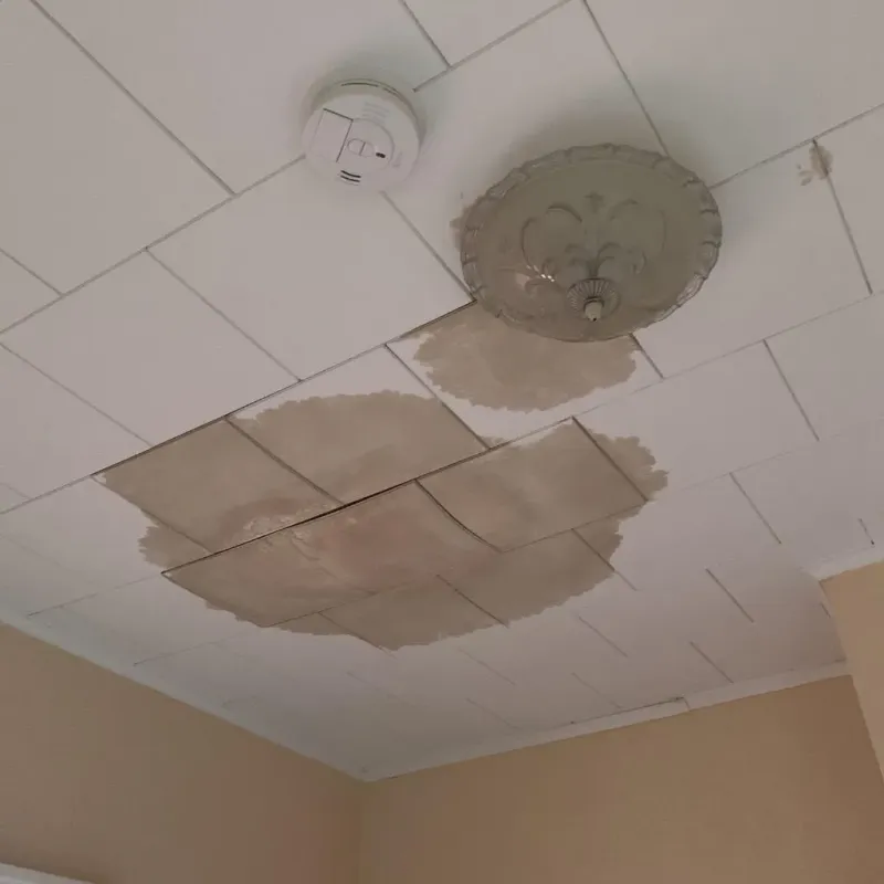 Ceiling Water Damage Repair in Lumberton, TX